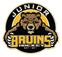 Boston Junior Bruins